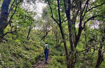 Kaflani Day Hike - Mussoorie 