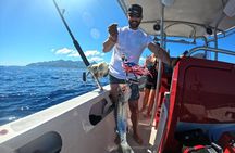 Half-day Big Fishing in Moorea on shared tour