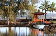 Hilo Shore Excursion: Active Volcano, Lava Tube, Waterfall and Gardens