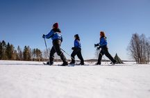 Snowshoe Walk to the Arctic Nature, Apukka Resort Rovaniemi