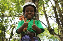 Tree climbing among the araucarias