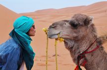 4 day desert tour From Fez to Marrakech Through Merzouga, Valleys & Ouerzazat