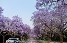 Full Day Private Tour in Johannesburg and Pretoria