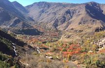 3 Days in Atlas Mountains & waterfall and Berber culture 
