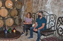 Full Day Guided Tour of Tequila and Amatitan with Tasting