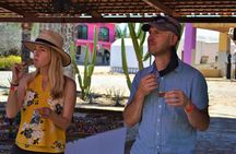 Full Day Guided Tour of Tequila and Amatitan with Tasting