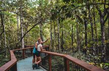 Half-Day Daintree Rainforest Tour 