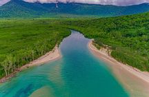 Half-Day Daintree Rainforest Tour 