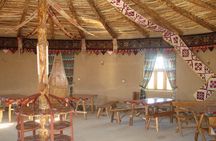 Desert Yurt Camp tour - 2 days (shared)