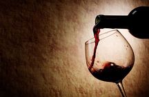 Wine Tasting in Madrid Experience