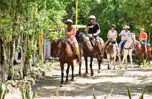 Tequila Tasting, Horseback Riding,ATV, Ziplines Cenote and Lunch