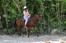 Tequila Tasting, Horseback Riding,ATV, Ziplines Cenote and Lunch