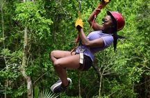 Tequila Tasting, Horseback Riding,ATV, Ziplines Cenote and Lunch