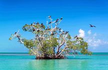 Sian Ka'an Biosphere the best nature experience with Transportation from Tulum 