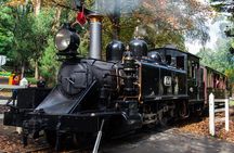 Puffing Billy And Healesville Sanctuary Scenic Tour