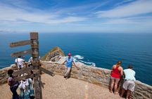 Private Full Day Tour To Cape Point, Penguins With Table Mountain.