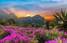 Kirstenbosch Botanical Gardens and Constantia Wine Tasting Tour.