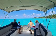 Bermuda Private Boat Charter: Snorkel, Cliff Jumping & Sightseeing 