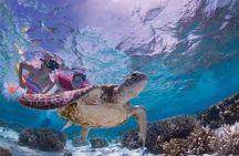 Full-dayTurtle Adventure: ATV, Zipline, Cenote & Turtle Swim