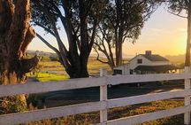 Carmel-by-the-Sea and 17-Mile Dr 3-3.5 Hour Electric Bike Tour