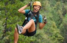 Canopy Zip lining Tour Private 