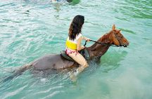 Horse Back riding Excursion