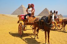 Private Half Day Tour to Giza Pyramids & Great Sphinx from Cairo