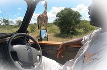  3 Night & 4 Day Private Kruger Park Safari