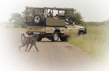  3 Night & 4 Day Private Kruger Park Safari