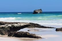 Half Day: Where Sea Meets Rock: Journey to West Salalah’s Shores