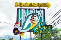Private Full-Day Circle Island Guided Small-Group up to 6 (Se habla Español)