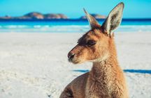 6 Day Esperance & Margaret River Adventure Tour