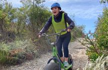 Knysna Scootours