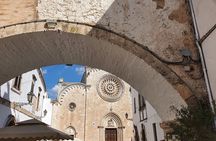 Brindisi: Alberobello, Ostuni Cruise ship passengers tour