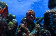 MUSA Museum and Colorful Reef 2 Tank Dive-Certified Divers