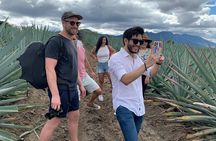 The Mezcal Journey
