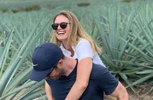The Mezcal Journey