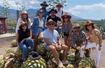 The Mezcal Journey