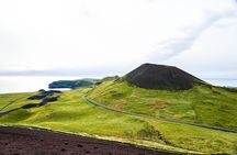 Vestmannaeyjar private day tour