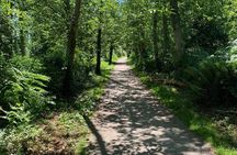  Spirit Of Vancouver Bike or Ebike Tour