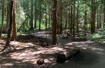  Spirit Of Vancouver Bike or Ebike Tour