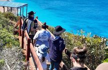 Walk on Country at Taananeditj (Rotary Lookout) 