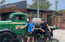 Scenic eBike of the Noosa Biosphere Trail Network