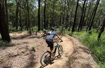 Noosa eMtn Bike Tour: Exploring a National Park on Fun MTB Trails