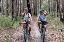 Noosa eMtn Bike Tour: Exploring a National Park on Fun MTB Trails