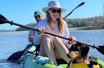 Noosa Everglade Kayak -South/Noosa End - Searching for Stingrays!