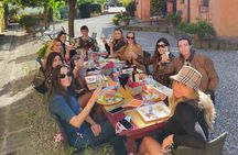 Private wine tour on the magical hills of Lucca (2 wineries)