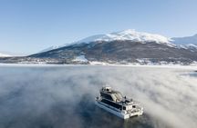 Half Day Arctic Fjord Cruise from Tromso