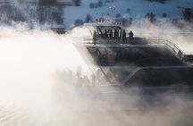 Half Day Arctic Fjord Cruise from Tromso