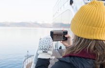 Half Day Arctic Fjord Cruise from Tromso
